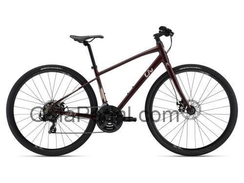 Giant Alight 3 ficha técnica y opiniones